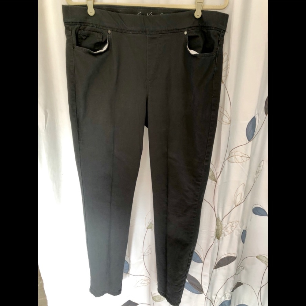 Gloria Vanderbilt  pull on pants